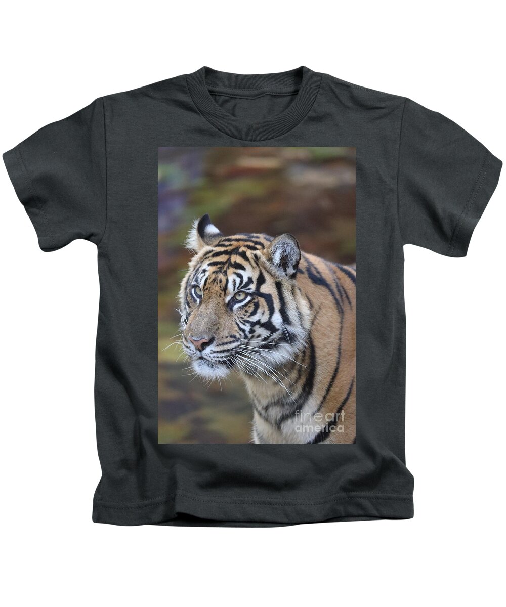 Tiger Kids T-Shirt featuring the photograph Tiger on the hunt #1 by Dwight Cook