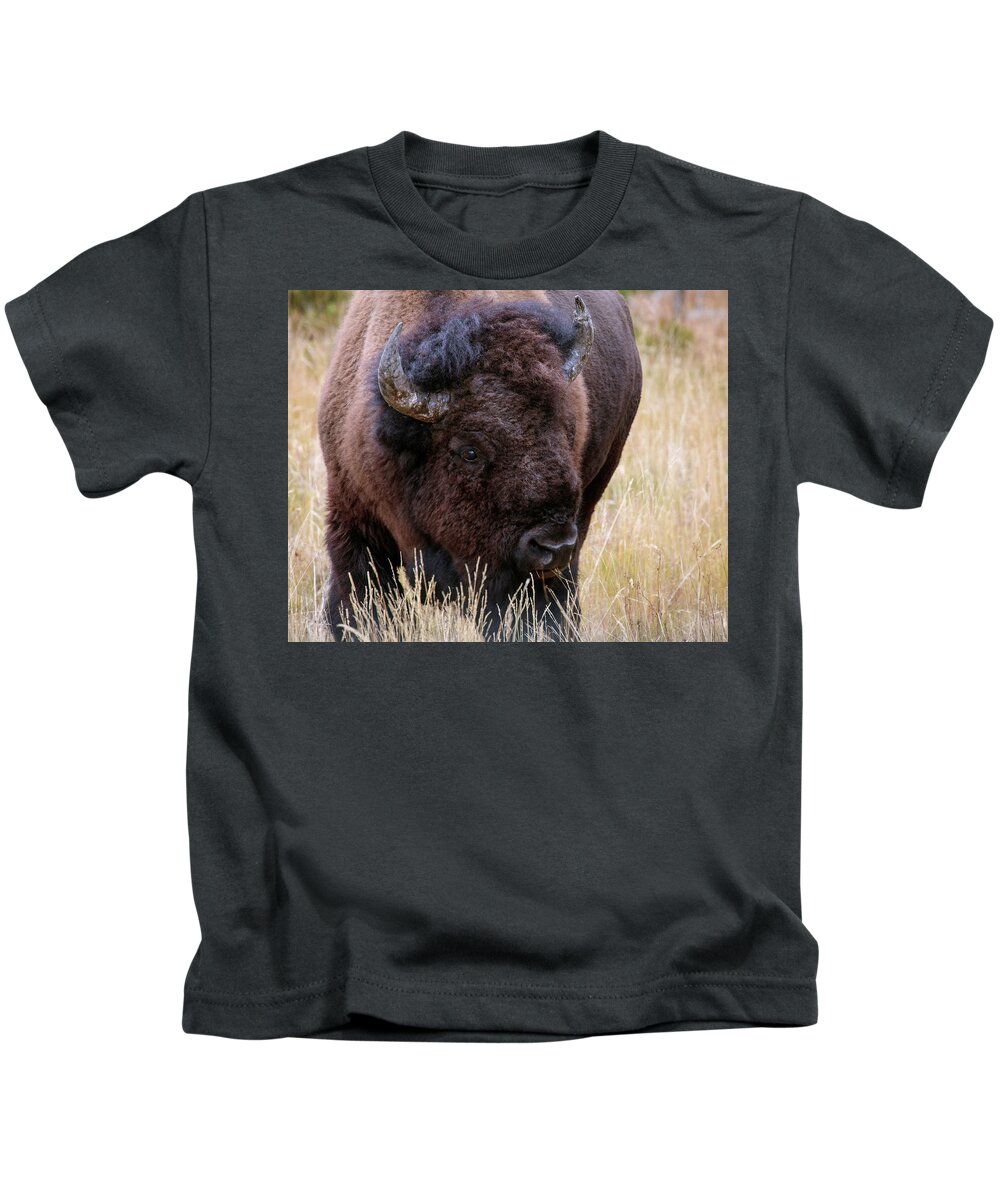 Bison Kids T-Shirt featuring the photograph Yellowstone Bison #1 by Catherine Avilez
