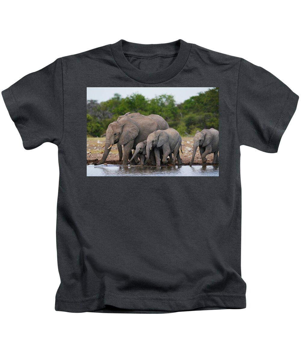 00584694 Kids T-Shirt featuring the photograph Elephants At Etoshe Waterhole #2 by Hiroya Minakuchi
