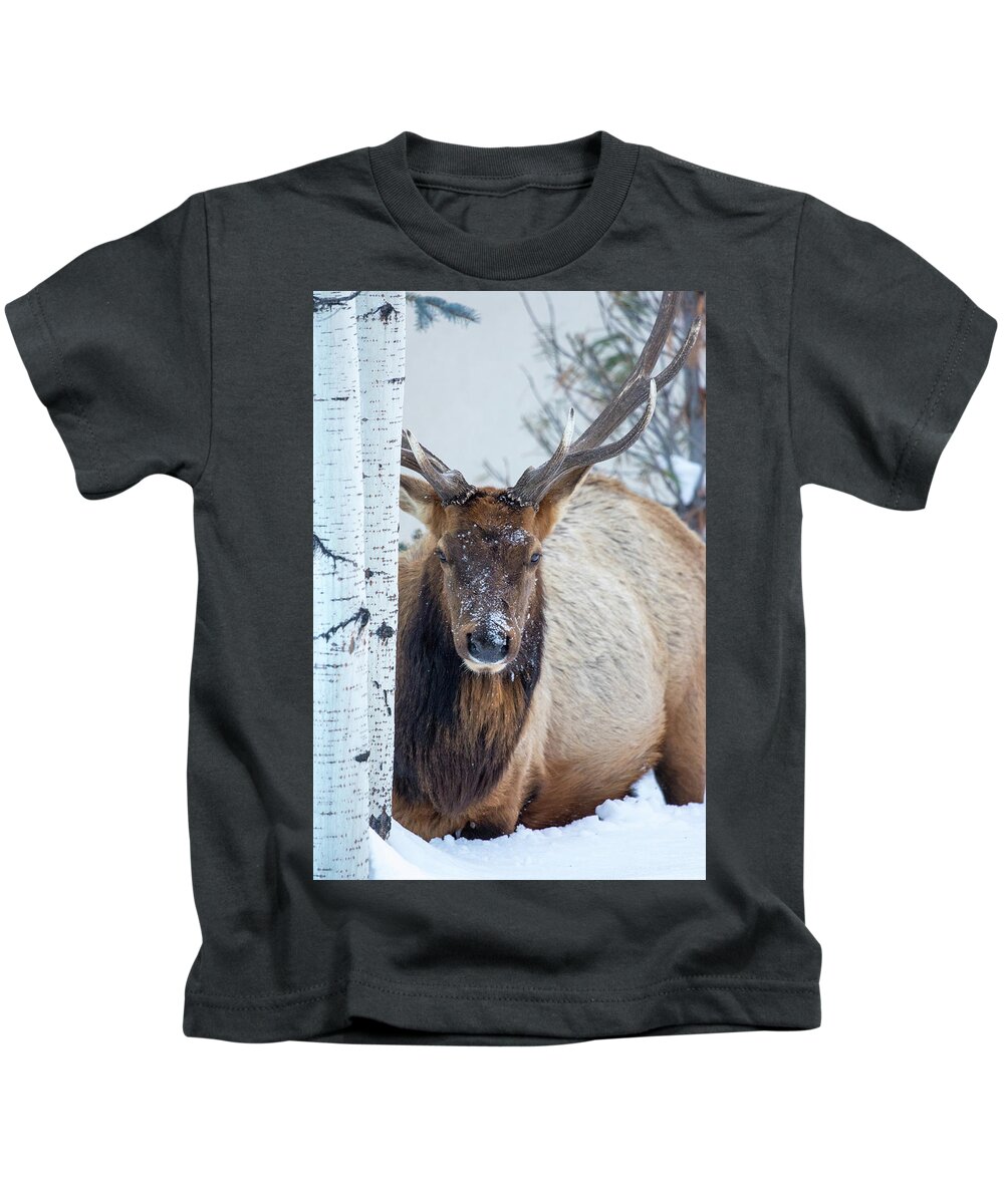 Elk Kids T-Shirt featuring the photograph 4 Wire winter by Kevin Dietrich