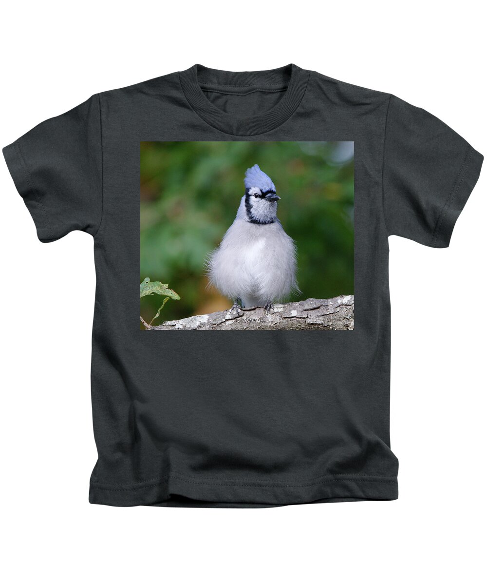 Blue Jay Kids T-Shirt featuring the photograph Blue Jay #5 by Diane Giurco