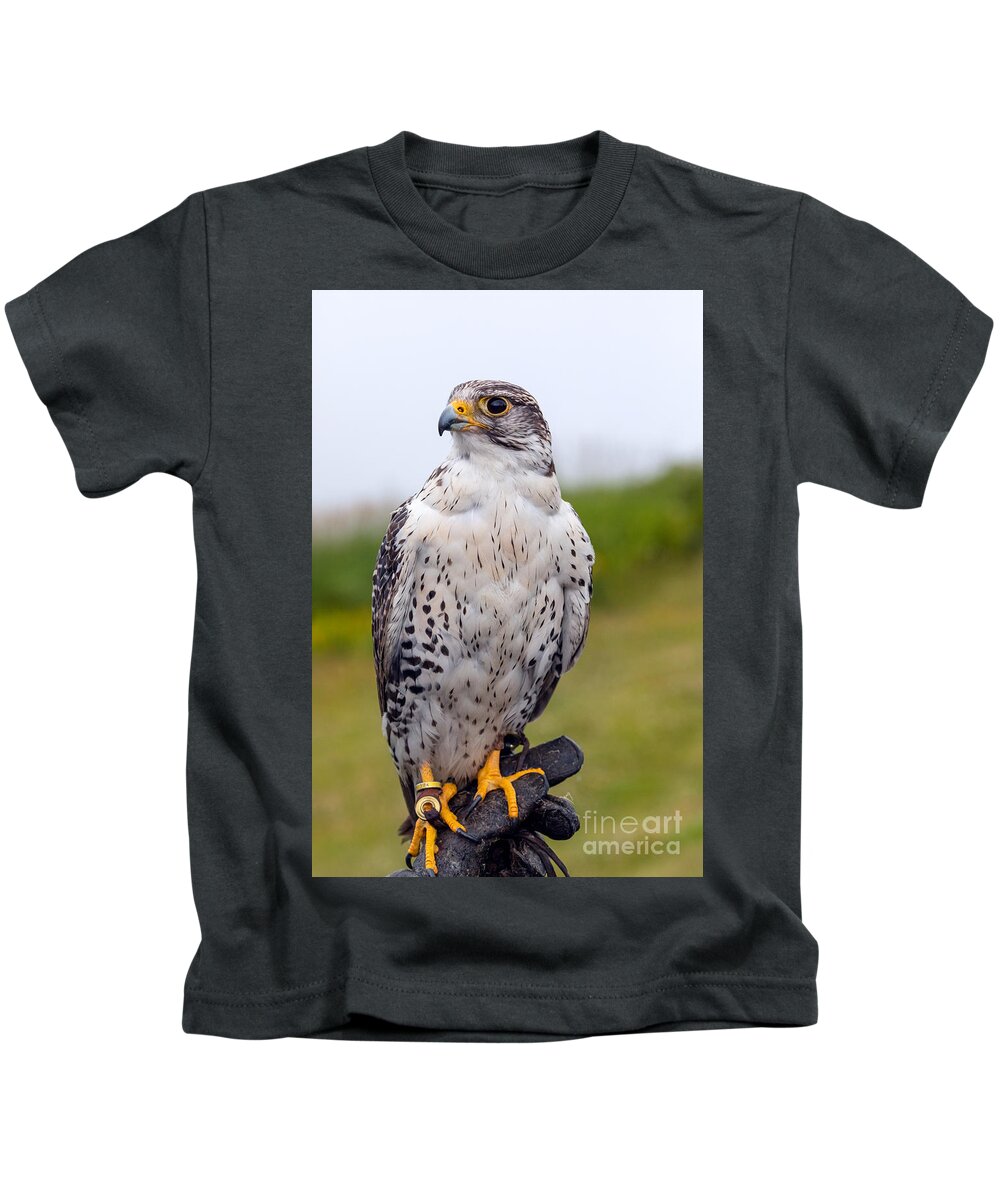 Photography Kids T-Shirt featuring the photograph Alert Prairie Falcon by Alma Danison
