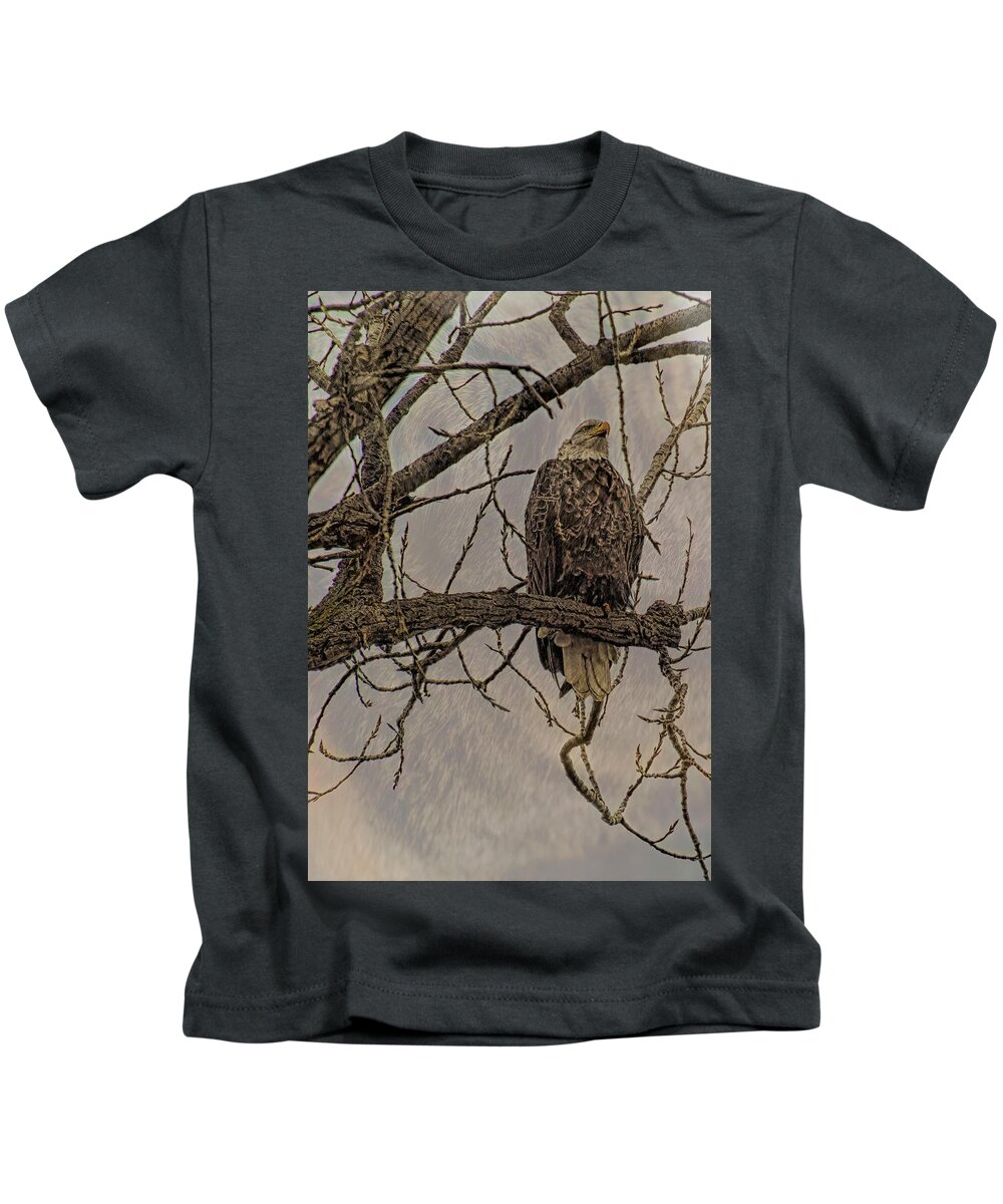 Wild Life Kids T-Shirt featuring the photograph American Bald Eagle by Robert Bolla