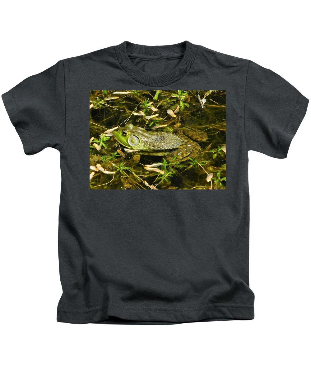 - American Bullfrog Kids T-Shirt featuring the photograph - American Bullfrog by THERESA Nye