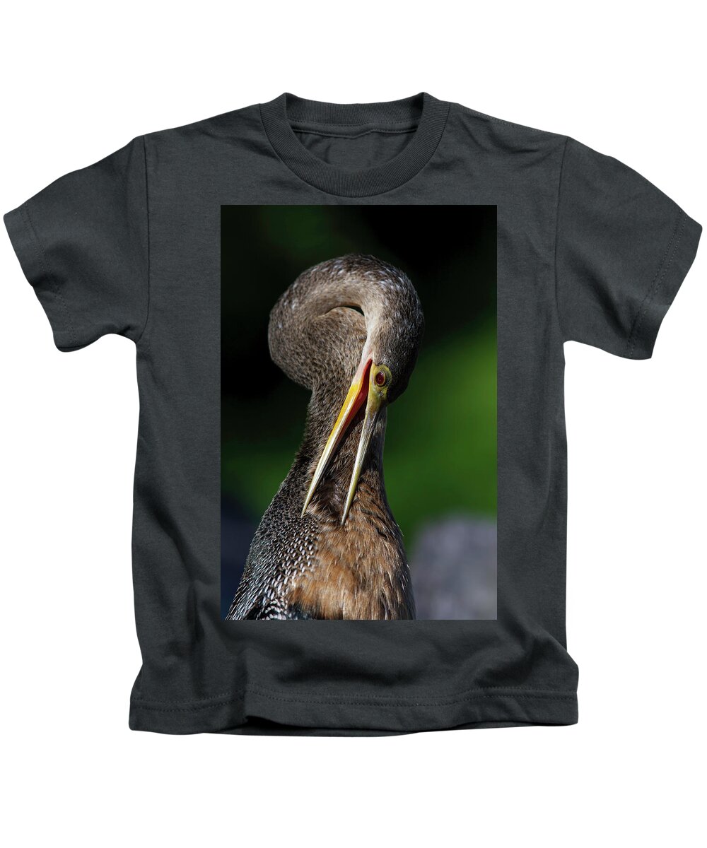 Anhinga Trail Kids T-Shirt featuring the photograph Anhinga combing Feathers by Donald Brown