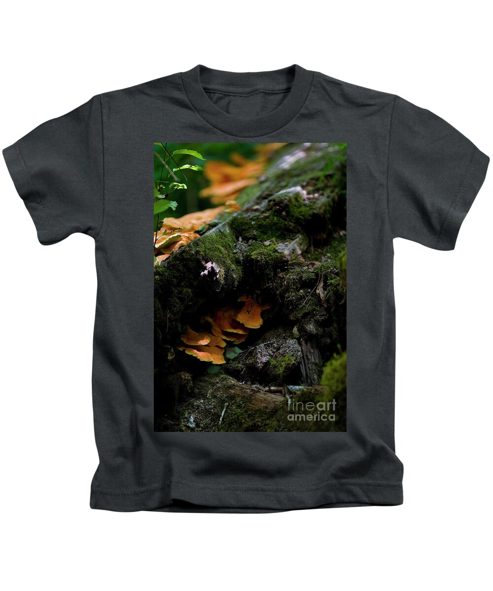 Outsideshooter Kids T-Shirt featuring the photograph Face, Asleep in a Log by Rich Collins