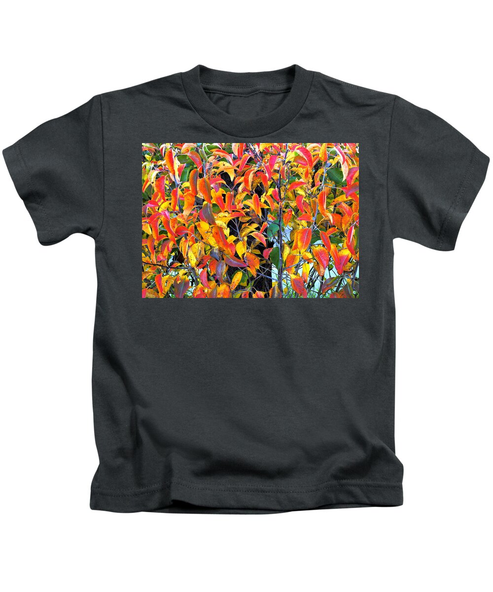 Shrub Kids T-Shirt featuring the photograph Autumn Colors in Winter by Richard Thomas