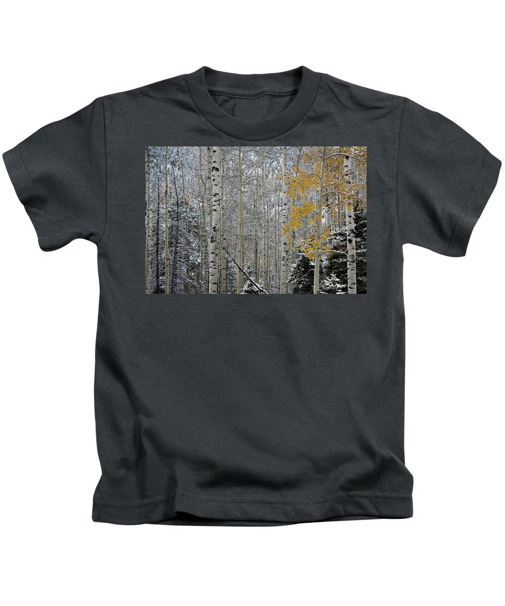 Aspens Kids T-Shirt featuring the photograph Autumn Gives Way To Winter by Ron Weathers