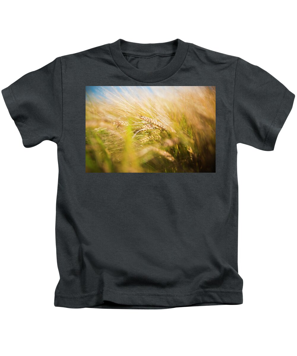 Agricultural Kids T-Shirt featuring the photograph Background of ears of wheat in a sunny field. by Joaquin Corbalan