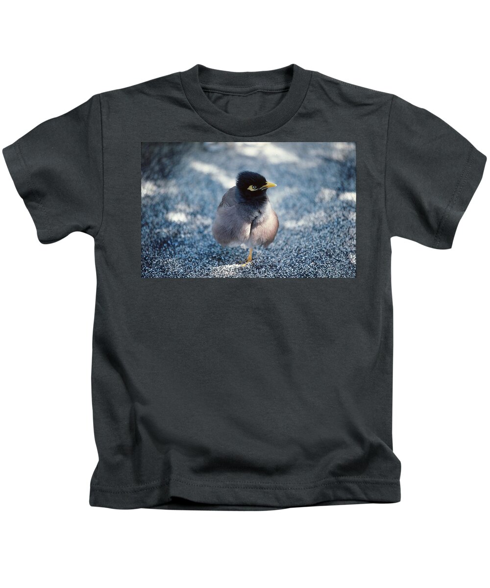 Bird Kids T-Shirt featuring the photograph Balancing Act by Marty Klar