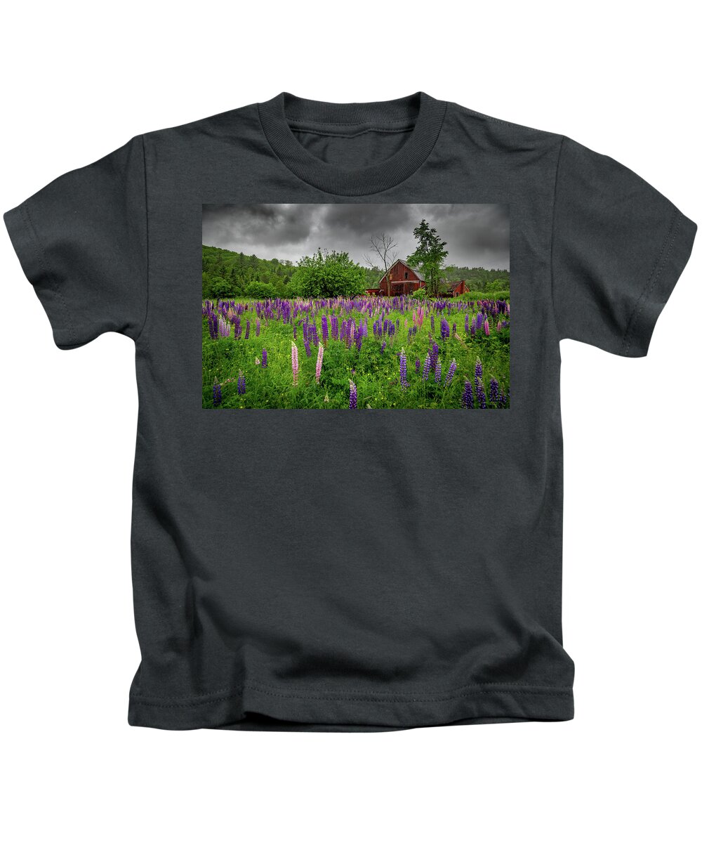 Vermont Kids T-Shirt featuring the photograph Barn and Lupines in the Rain by Tim Kirchoff