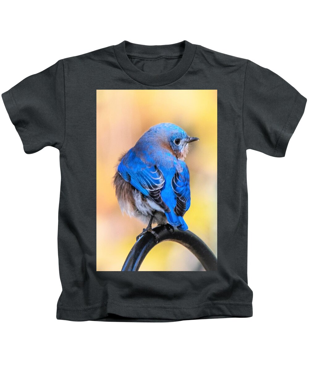 Eastern Bluebird Kids T-Shirt featuring the photograph Beautiful Bluebird by Mary Ann Artz