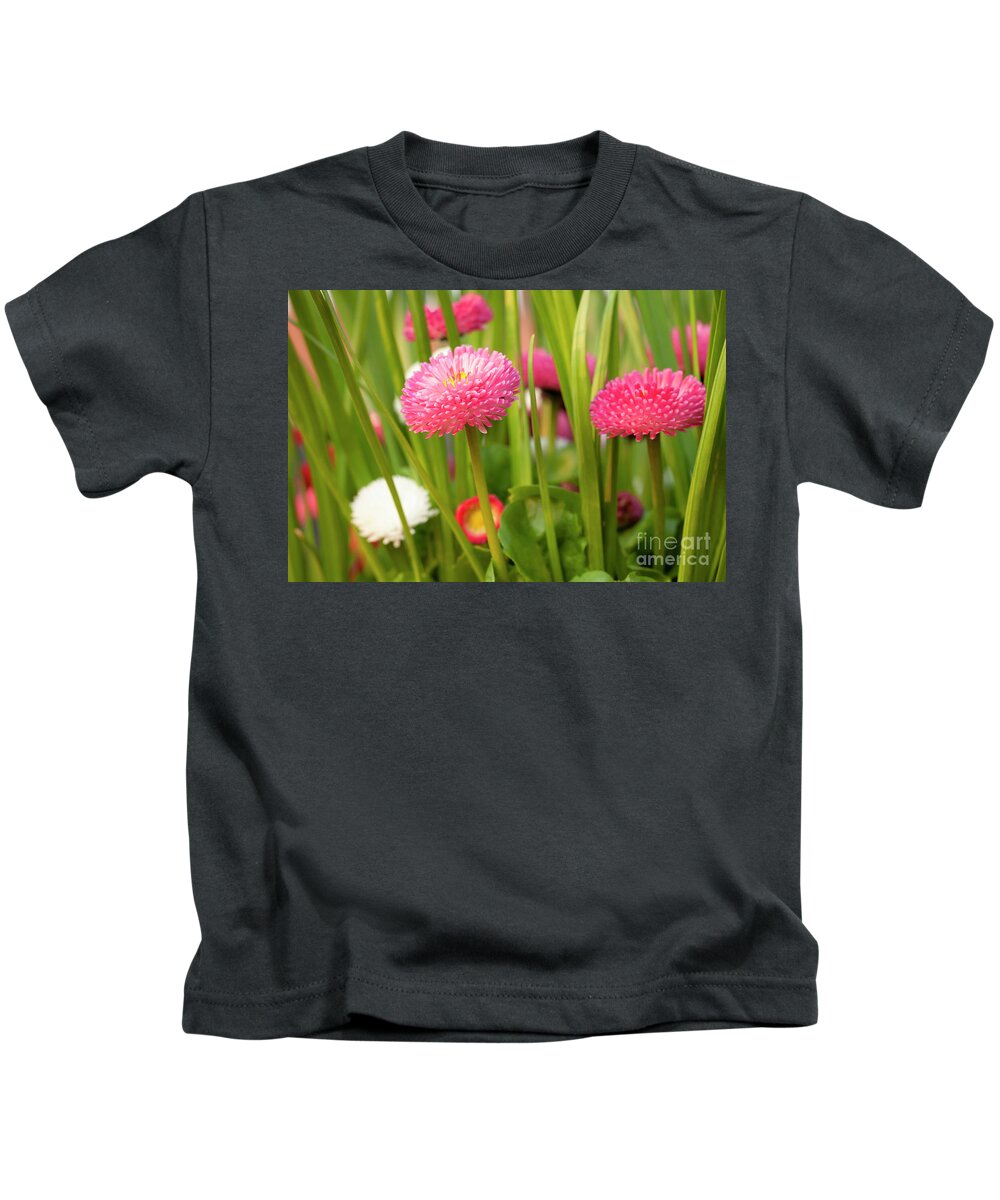 Spring Kids T-Shirt featuring the photograph Bellis daisies in spring time closeup by Simon Bratt