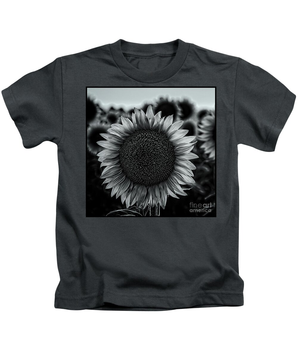 2019 Kids T-Shirt featuring the photograph Black and white closeup of a sunflower in a field at dusk by Phillip Rubino