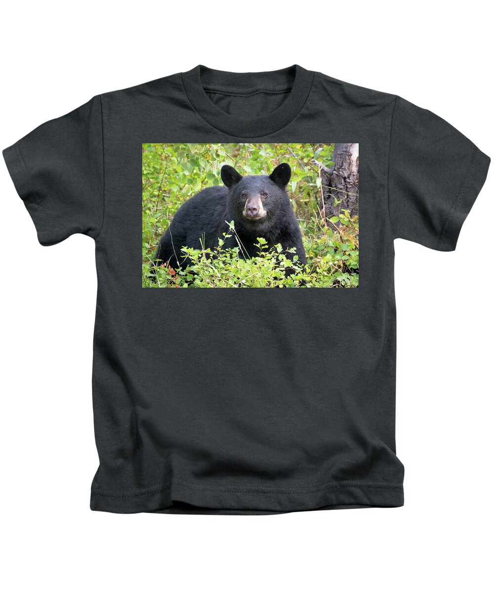 Black Bear Kids T-Shirt featuring the photograph Black Bear In the Forest by Jack Bell