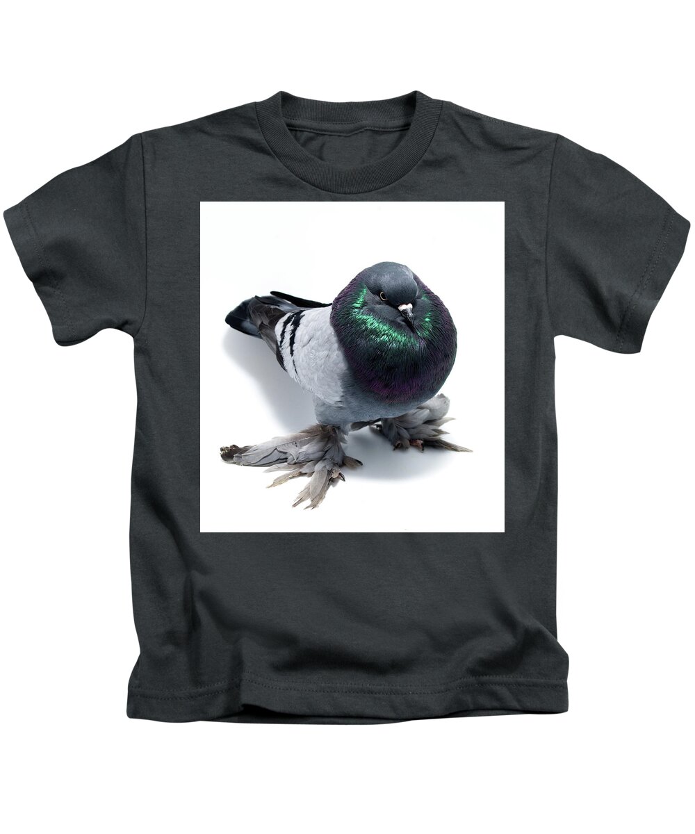 Pigeon Kids T-Shirt featuring the photograph Blue Bar West of England Tumbler Pigeon by Nathan Abbott