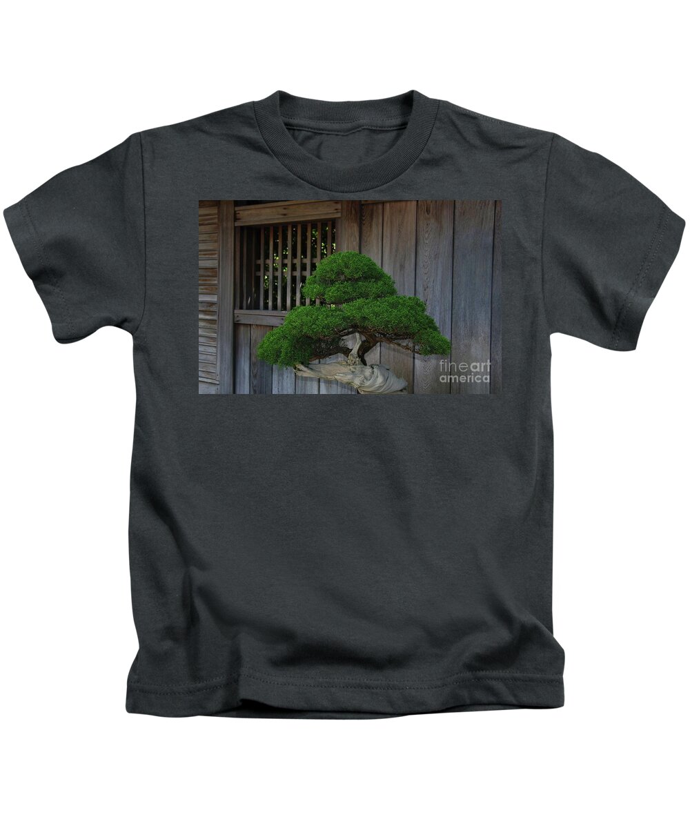 Bonsai Tree Kids T-Shirt featuring the photograph Bonsai Beauty by Terri Brewster