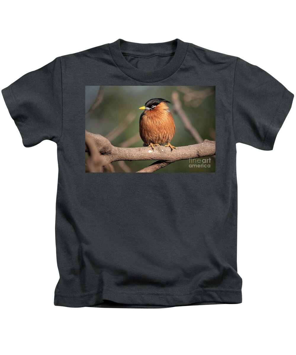 Bird Kids T-Shirt featuring the digital art Bright Eye by Pravine Chester