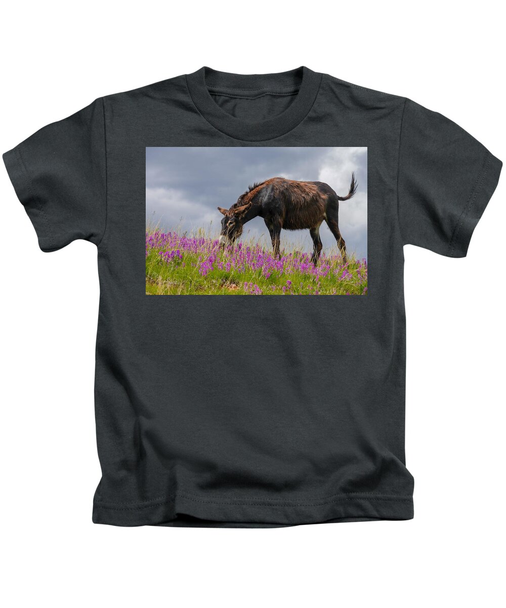 Wild Burro Kids T-Shirt featuring the photograph Brown Wild Burro by Susan Rydberg