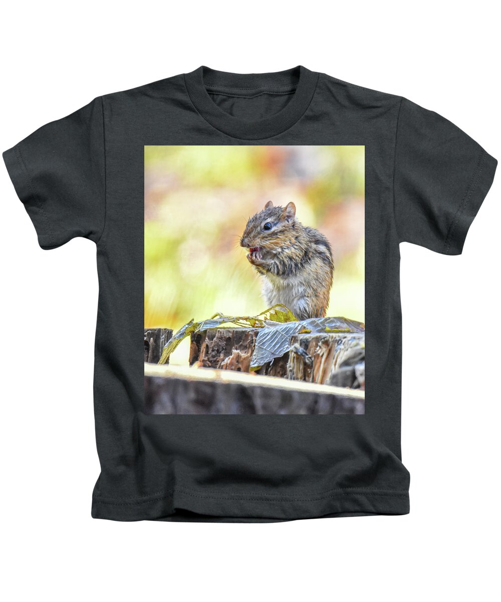 Chipmunk Kids T-Shirt featuring the photograph Chipmunk by Michelle Wittensoldner
