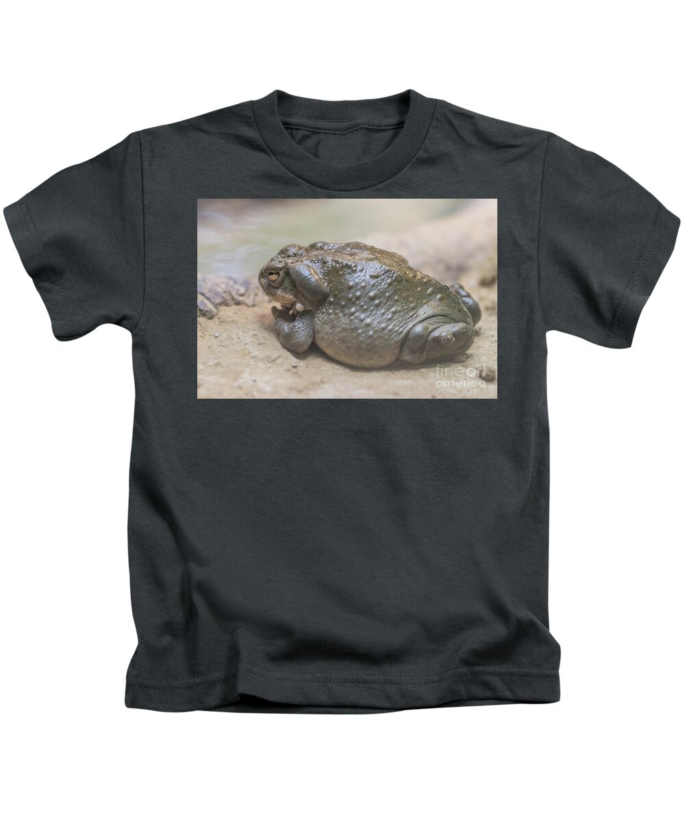 Colorado River Toad Kids T-Shirt featuring the photograph Colorado River Toad by Eva Lechner