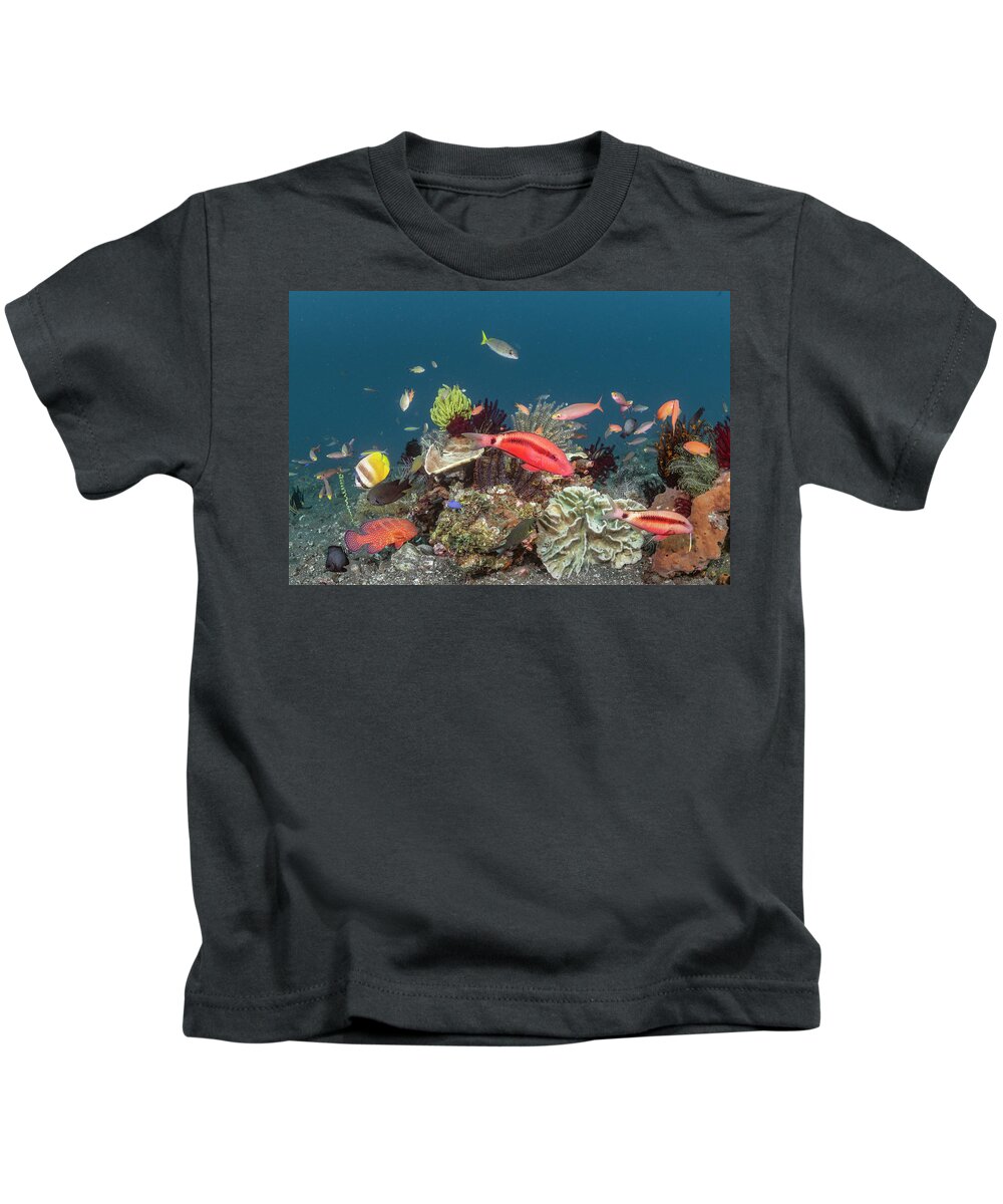Animal Kids T-Shirt featuring the photograph Coral Reef Fish In Bali by Tui De Roy