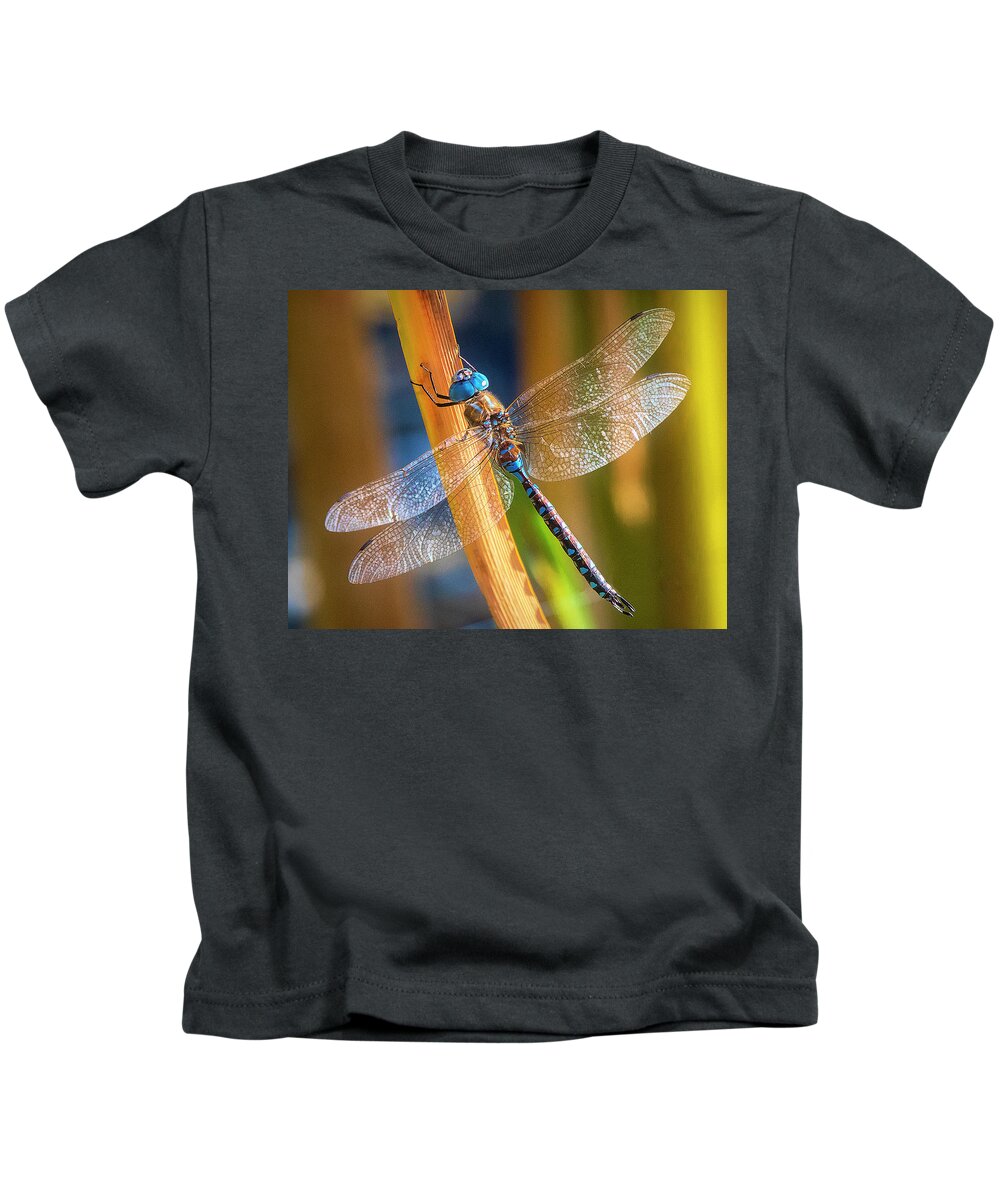 Dragonfly Kids T-Shirt featuring the photograph Dragonfly Perched on Stem by Lowell Monke