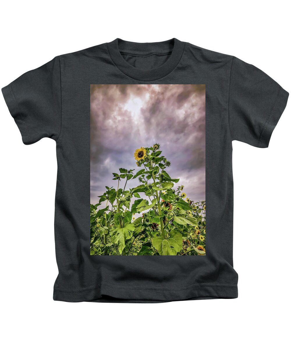 Sunflower Kids T-Shirt featuring the photograph Dramatic Sunflower by Anamar Pictures
