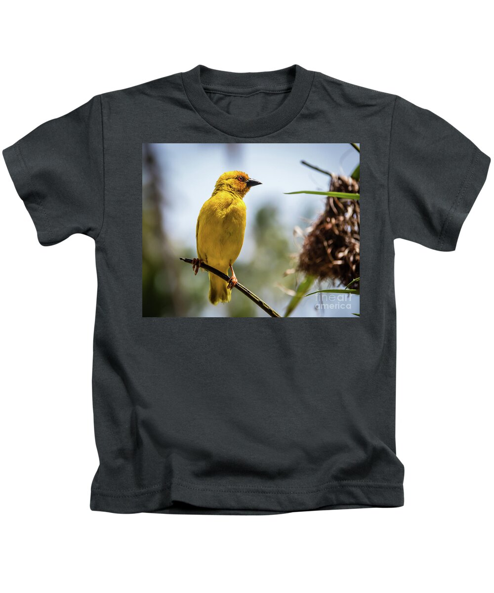 Bird Kids T-Shirt featuring the photograph Eastern golden weaver, Zanzibar by Lyl Dil Creations