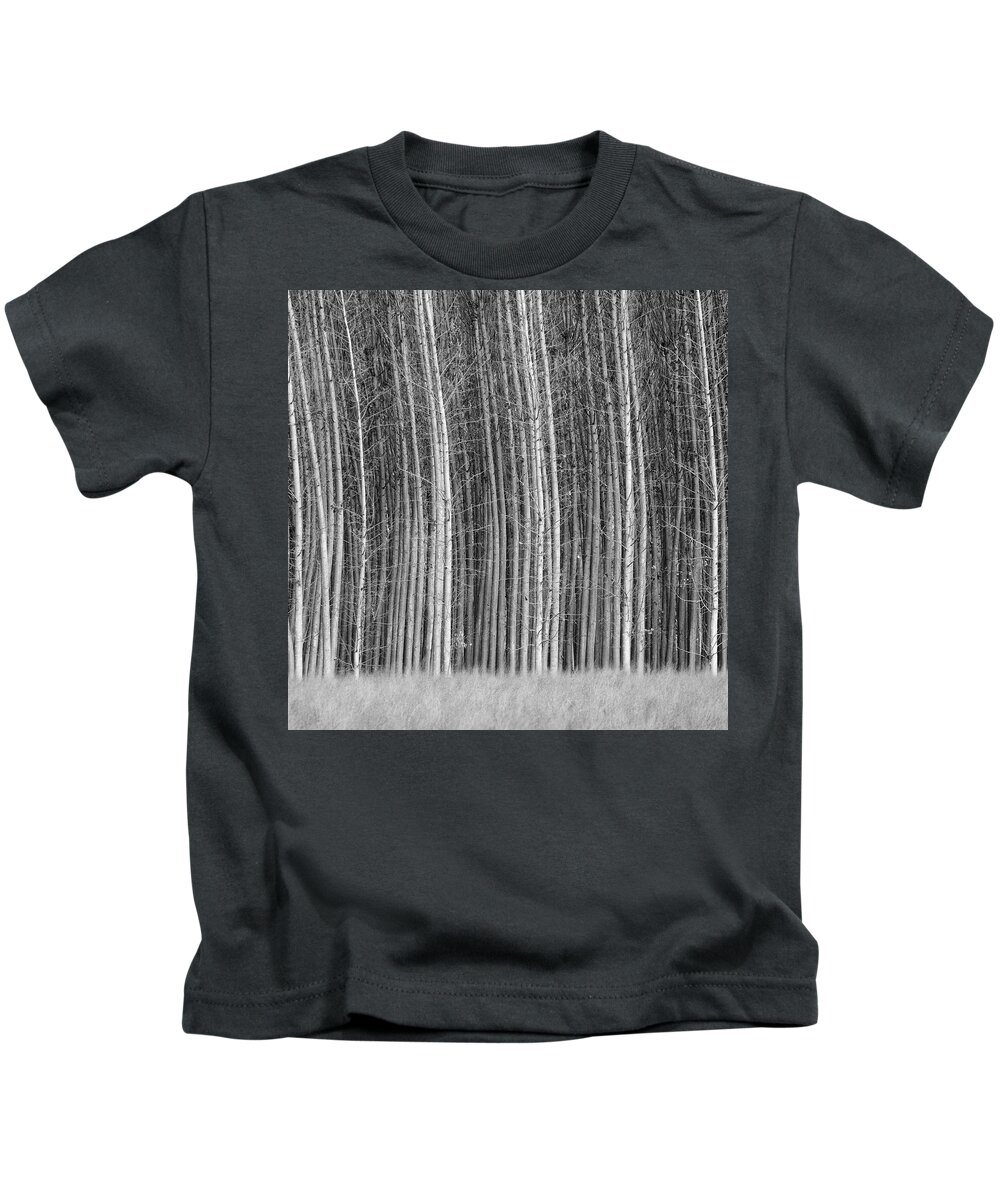 Mono Kids T-Shirt featuring the photograph Elegant poplars. BW. Foggy morning by Guido Montanes Castillo