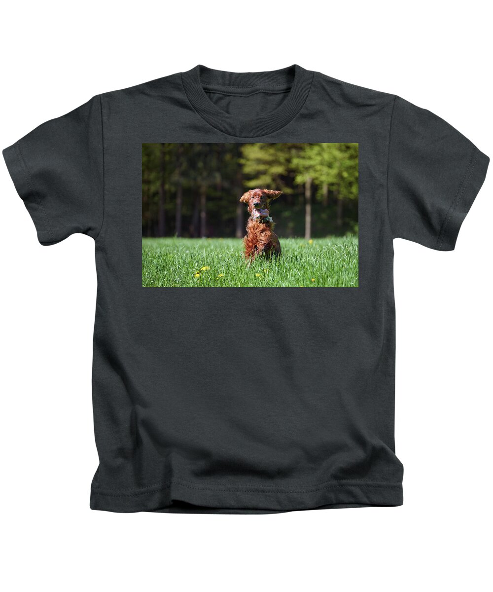 Forest Kids T-Shirt featuring the photograph Elf by Robert Krajnc