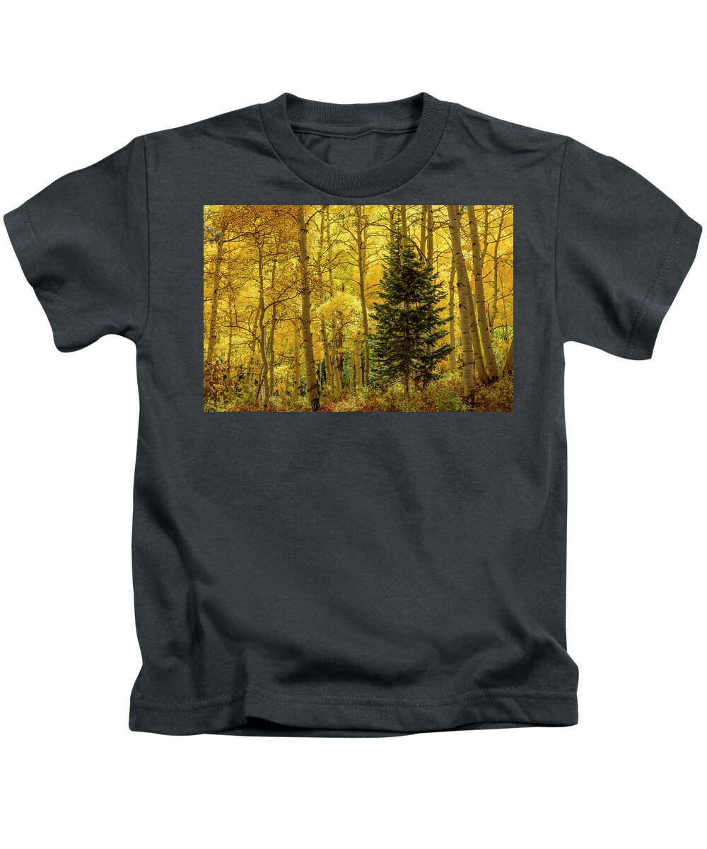 Colorado Kids T-Shirt featuring the photograph Evergreen in the Aspen Grove by James Covello