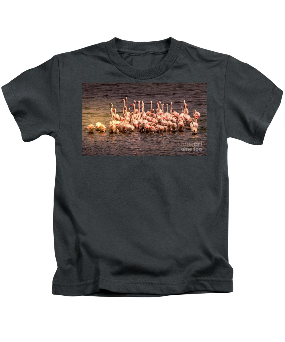 Birds Kids T-Shirt featuring the photograph Flamingos in the water by Pravine Chester
