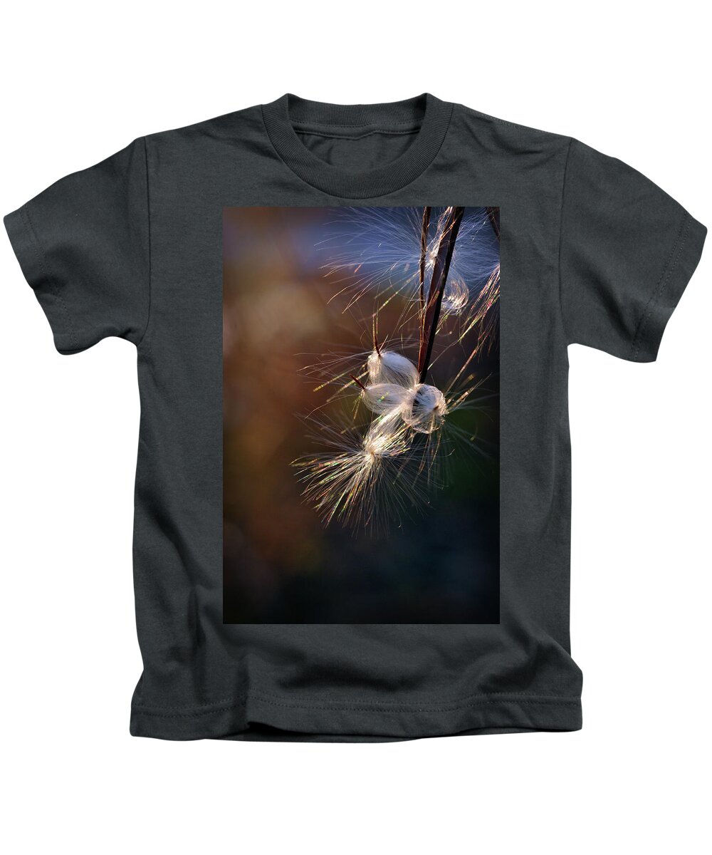 Milkweed Kids T-Shirt featuring the photograph Flight by Michelle Wermuth