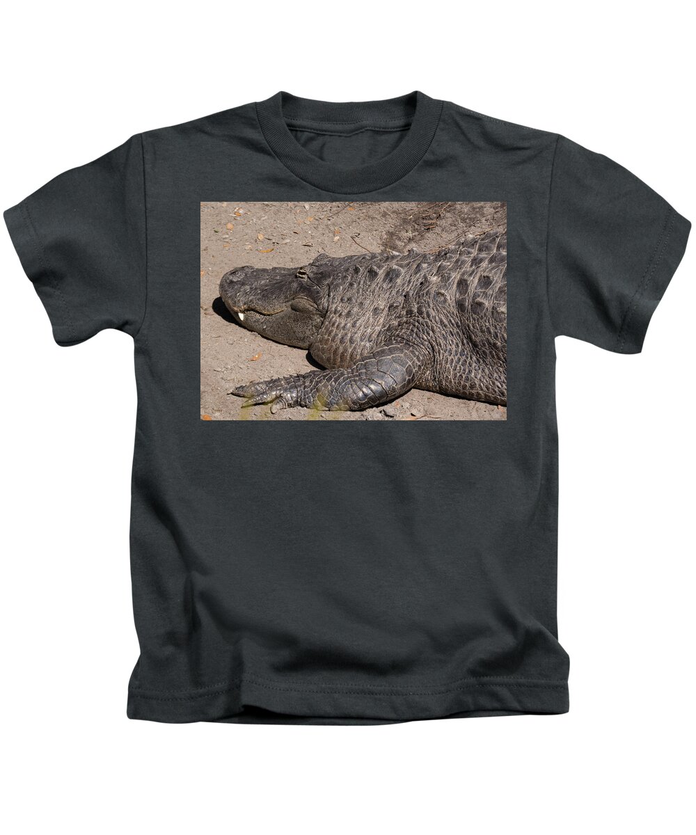 Alligator Kids T-Shirt featuring the photograph Florida Denizen by Margaret Zabor