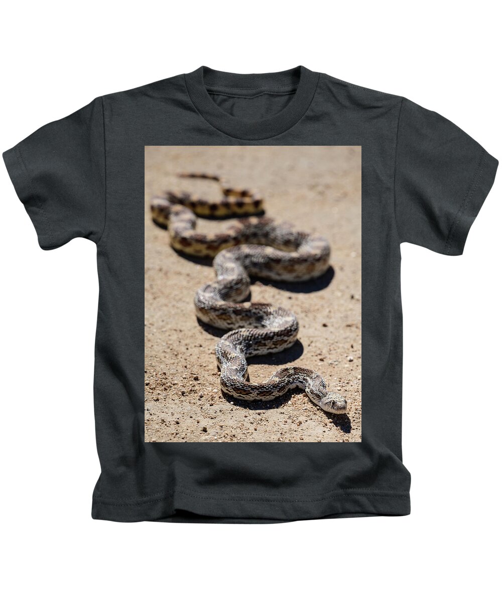 Animals Kids T-Shirt featuring the photograph Gophersnake in Arizona by James Covello