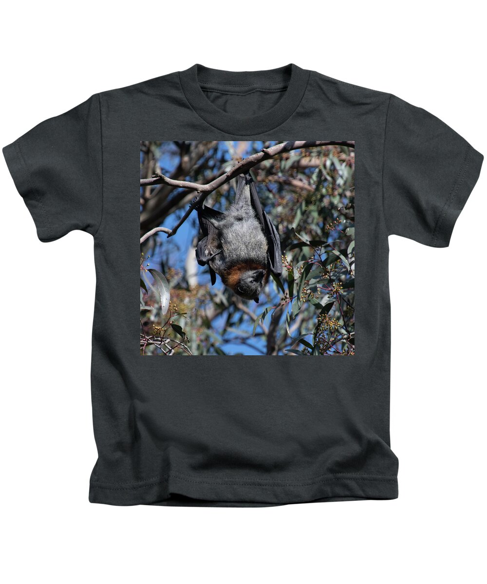 Flying Kids T-Shirt featuring the photograph Hanging around by Patrick Nowotny