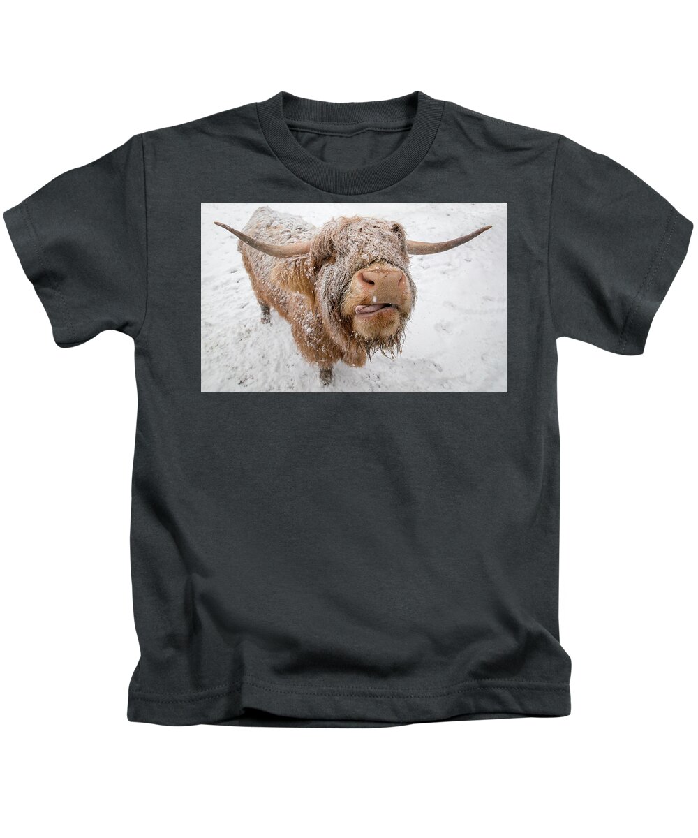 Adam West Kids T-Shirt featuring the photograph Highland Cow Tasting Snow by Adam West