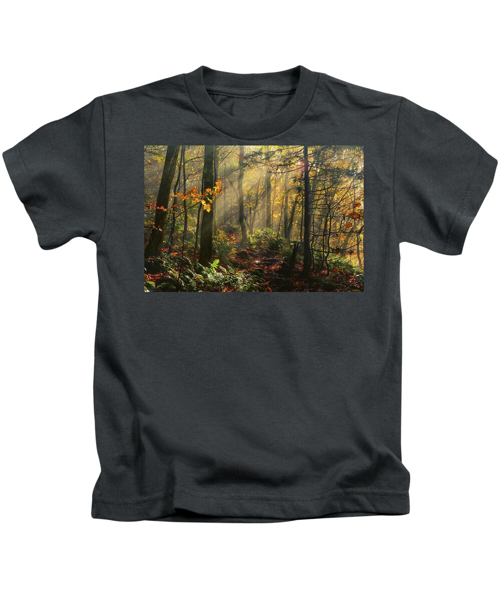 Rays Of Sun After A Storm Kids T-Shirt featuring the photograph Horizontal Rays of Sun After a Storm by Raymond Salani III