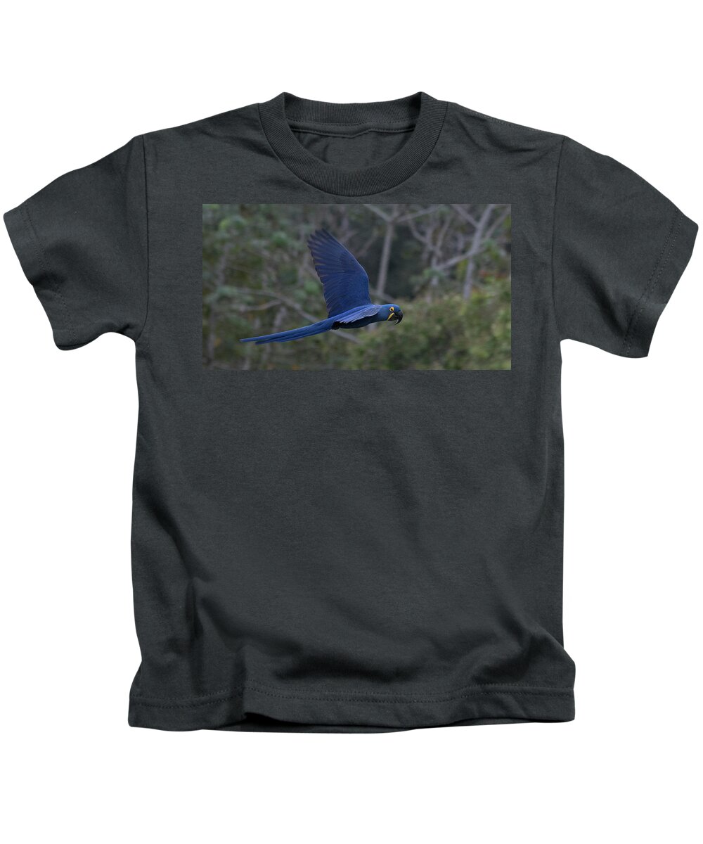 Hyacinth Kids T-Shirt featuring the photograph Hyacinth Macaw by Patrick Nowotny