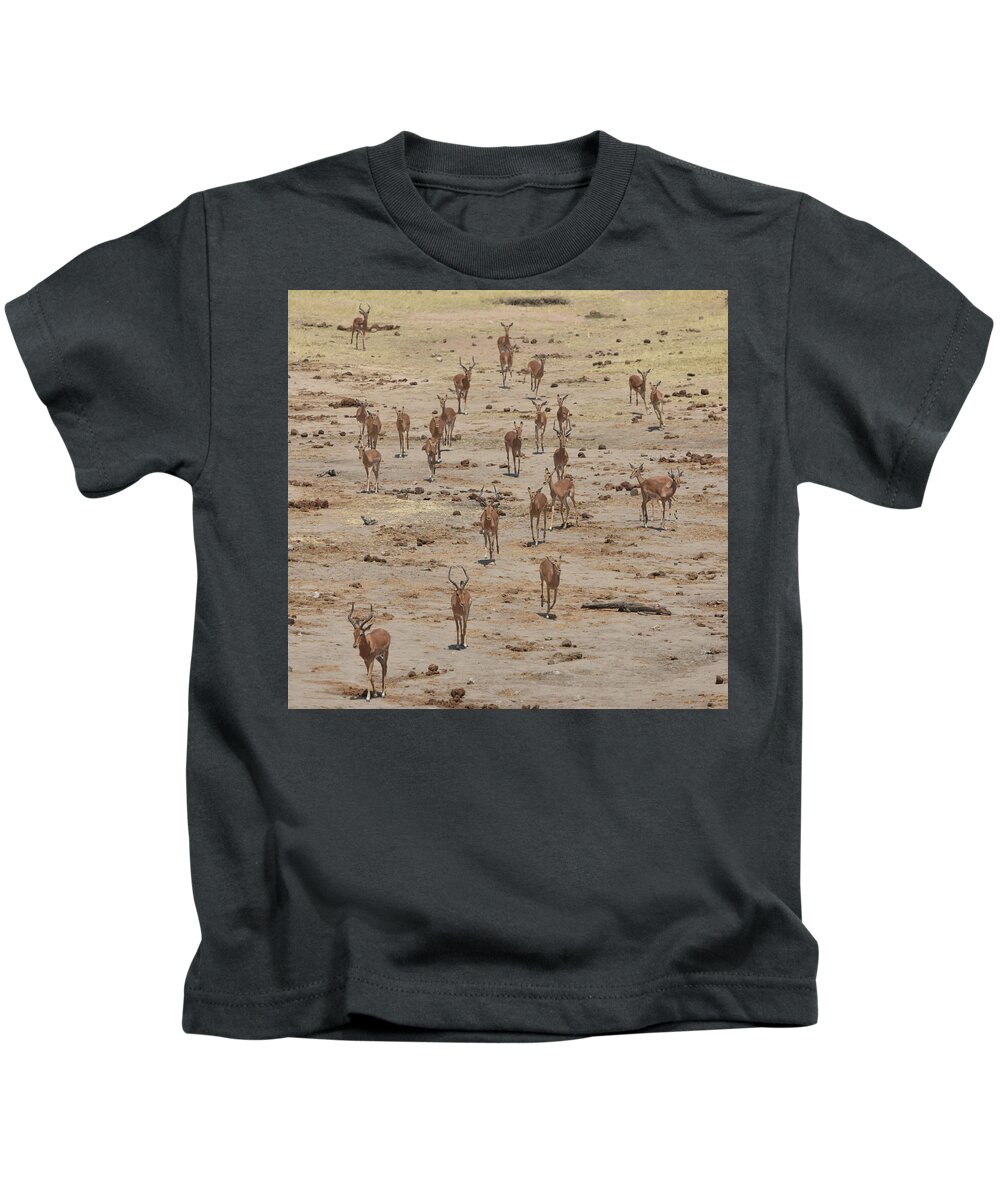 Impala Kids T-Shirt featuring the photograph Impala Coming to Water by Ben Foster