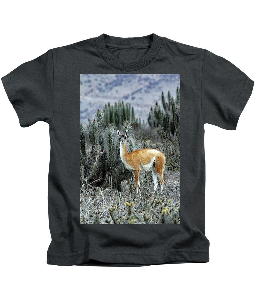 Guanaco Kids T-Shirt featuring the photograph In A Cactus Field by Jennifer Robin