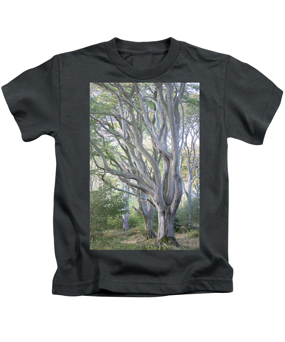 Beech Tree Kids T-Shirt featuring the photograph Jenny's Tree by Anita Nicholson