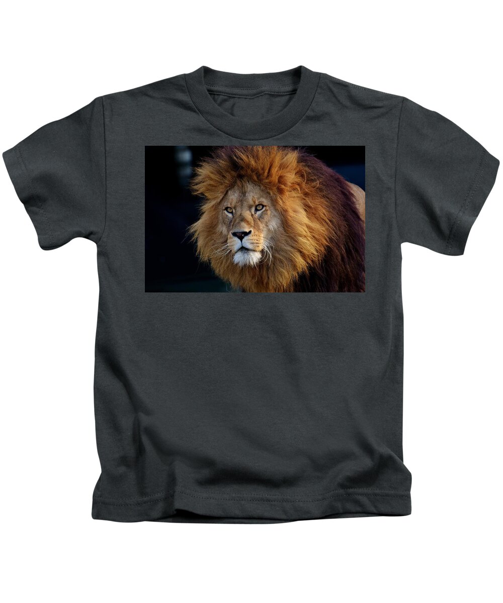  Kids T-Shirt featuring the photograph King lion by Top Wallpapers
