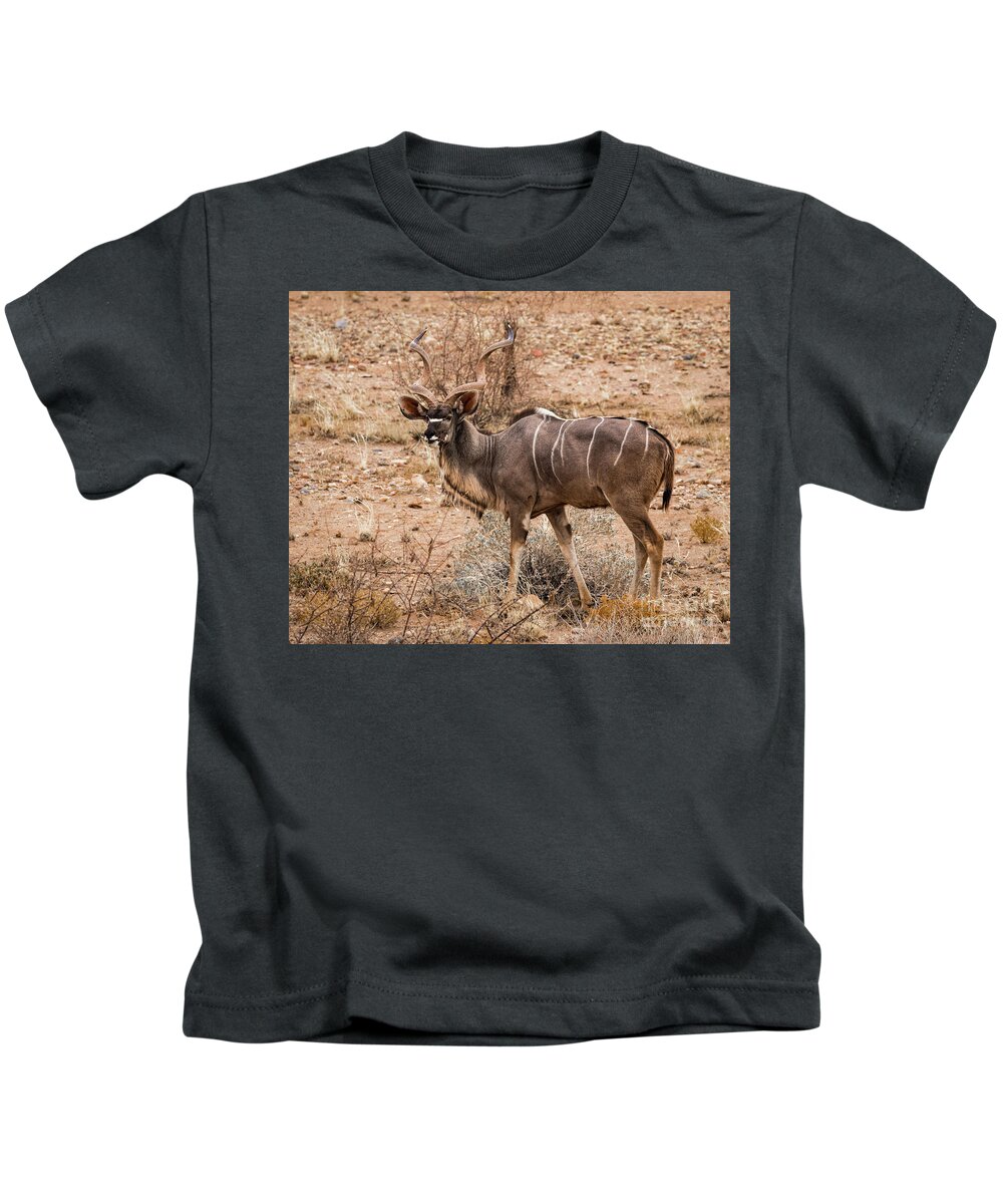 Kudu Kids T-Shirt featuring the photograph Kudu in the Kalahari desert, Namibia by Lyl Dil Creations