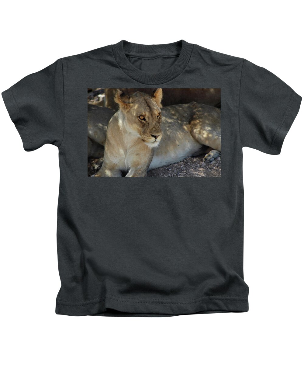  Kids T-Shirt featuring the photograph Lion by Eric Pengelly