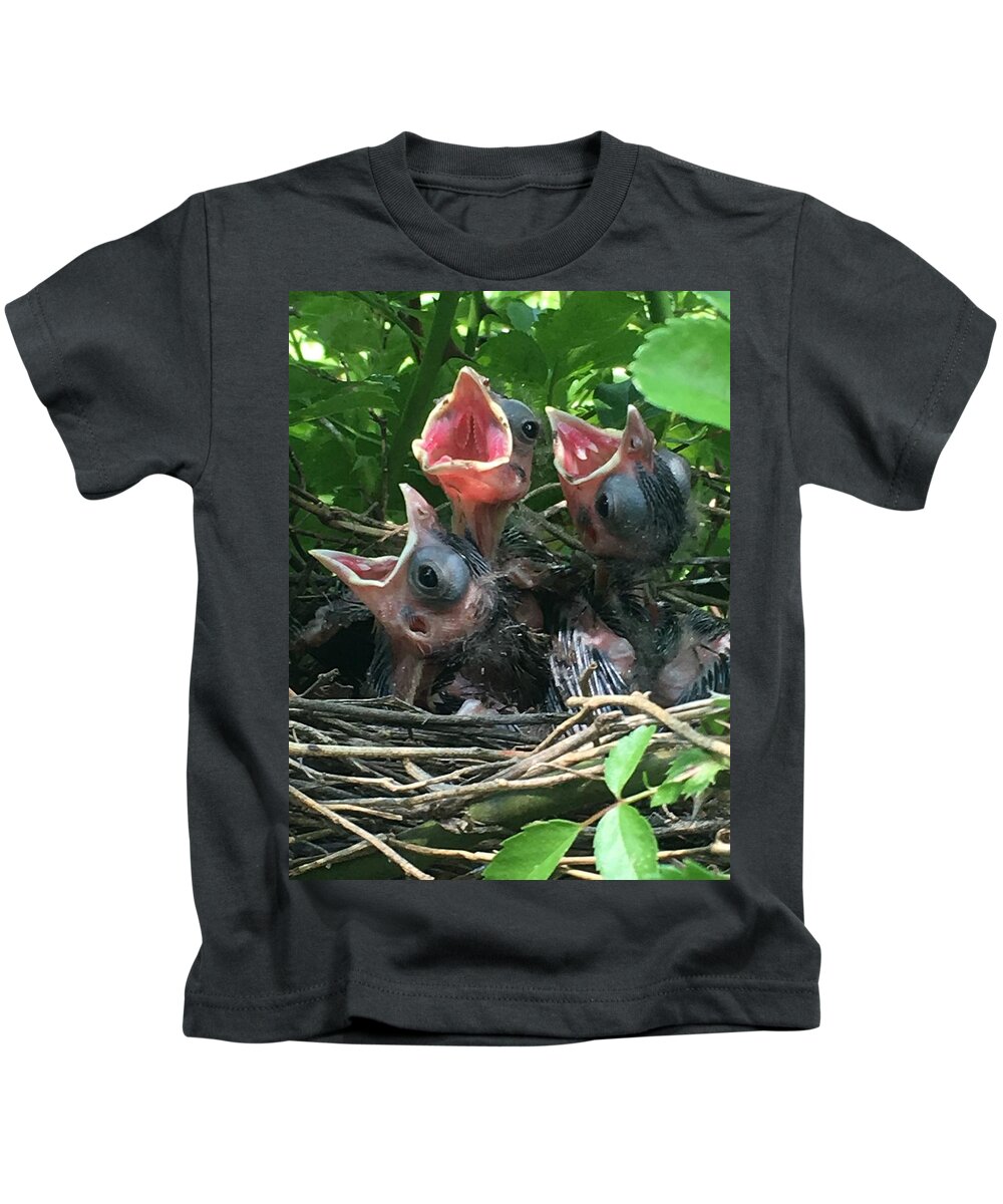 Baby Birds Kids T-Shirt featuring the photograph Mama feed me by Colette Lee