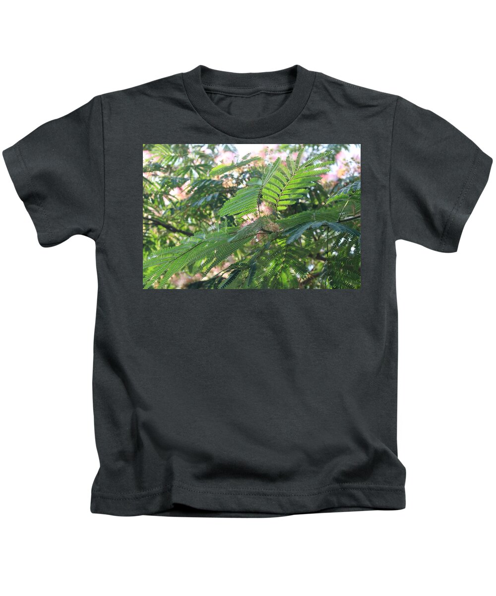 Mimosa Tree Kids T-Shirt featuring the photograph Mimosa Tree Blooms and Fronds by Christopher Lotito