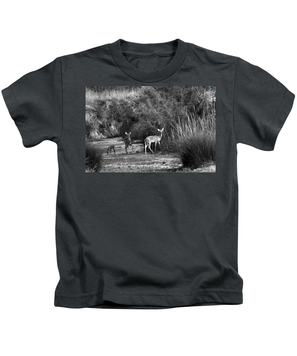 Richard E. Porter Kids T-Shirt featuring the photograph Morning Drink - Deer, Palo Duro Canyon State Park, Texas by Richard Porter