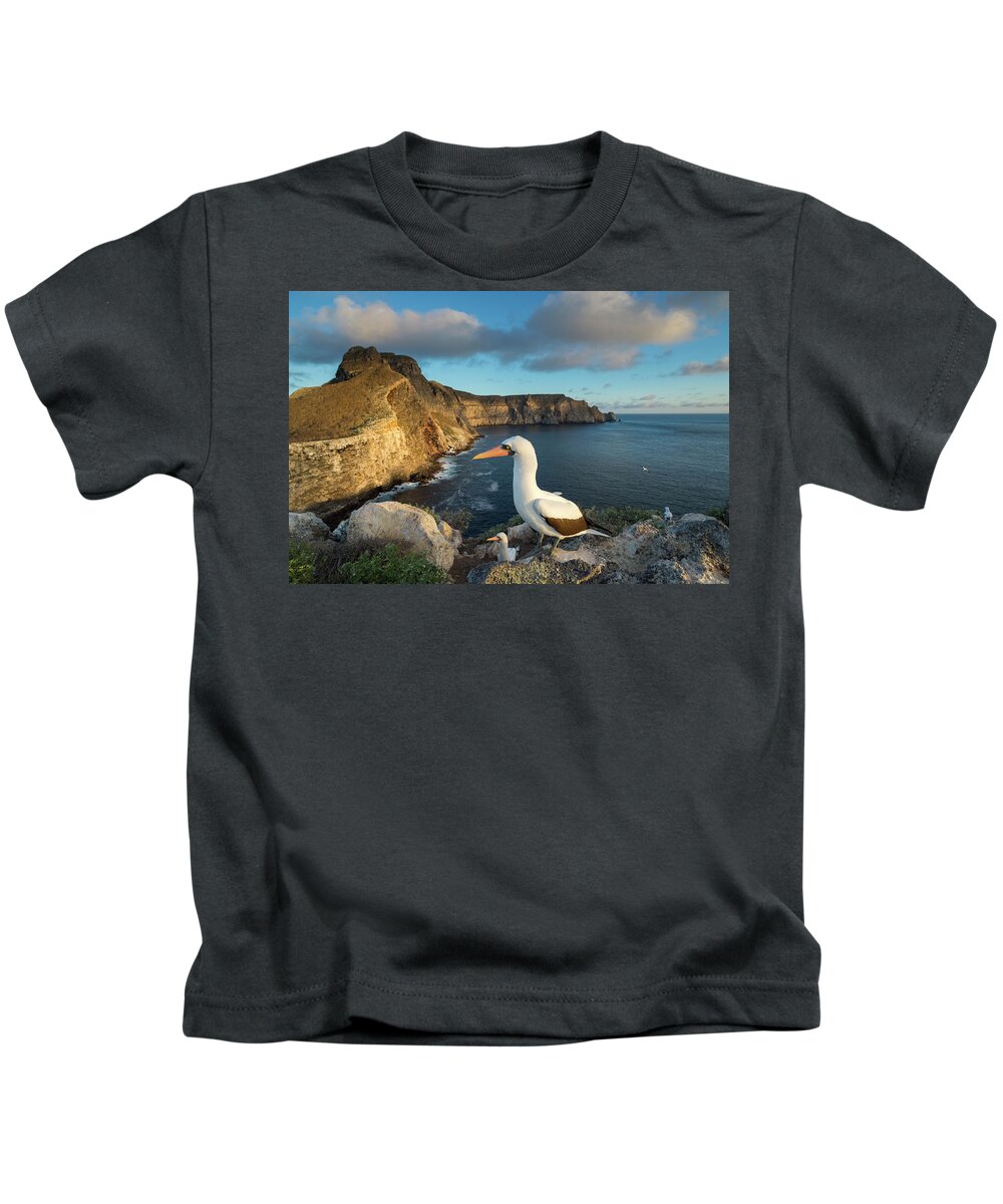 Animal In Habitat Kids T-Shirt featuring the photograph Nazca Boobies On Wolf Islands by Tui De Roy